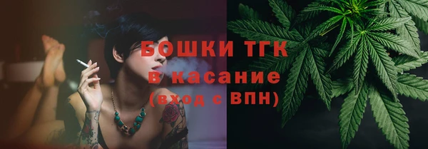 индика Вязники